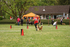 DSC06301