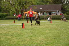 DSC06309
