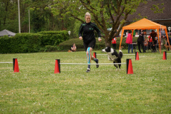 DSC06325