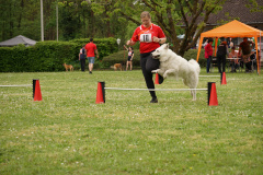 DSC06331