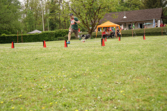 DSC06479