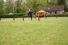 DSC06522