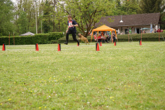 DSC06523