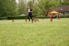 DSC06529