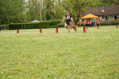 DSC06562