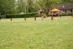 DSC06563