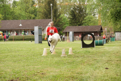 DSC06659