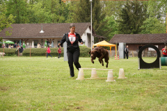 DSC06681
