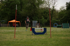 DSC07073