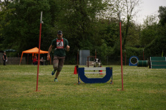 DSC07084