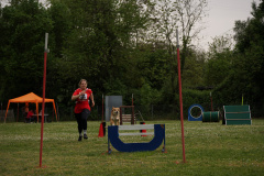 DSC07203