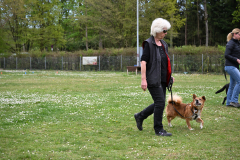 DSC_0253