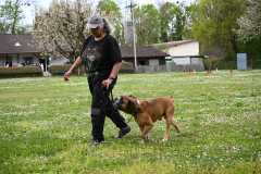 DSC_0290