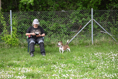DSC_0422