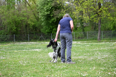 DSC_0450