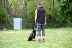 DSC_0489