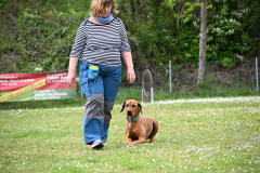DSC_0502