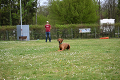 DSC_0562