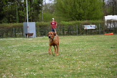 DSC_0568