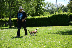 DSC_0904