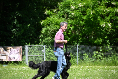 DSC_0927