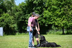 DSC_0940