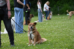 DSC_0980