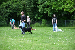 DSC_1005
