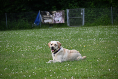 DSC_1049