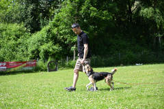 DSC_1071