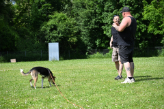 DSC_1076