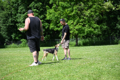 DSC_1077