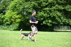 DSC_1081