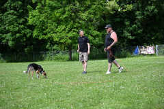 DSC_1083