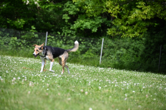 DSC_1093