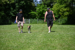 DSC_1105