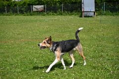 DSC_1123