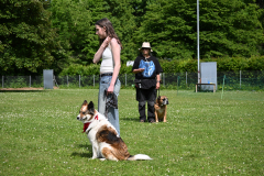 DSC_1127