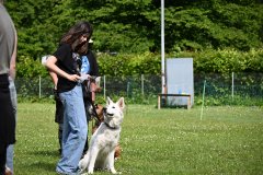 DSC_1137