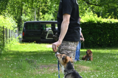 DSC_1167