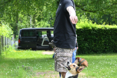 DSC_1176