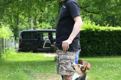 DSC_1177