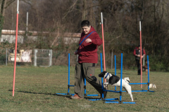 18.02.2023 - Hundeführer, Hunde beim Training