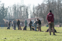 18.02.2023 - Hundeführer, Hunde beim Training