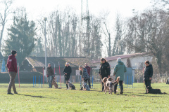 18.02.2023 - Hundeführer, Hunde beim Training