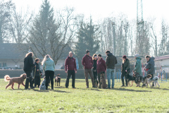 18.02.2023 - Hundeführer, Hunde beim Training