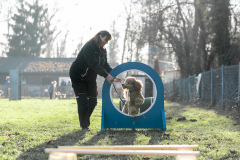 18.02.2023 - Hundeführer, Hunde beim Training