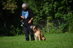 DSC_1582