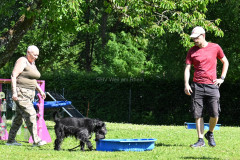 31.05.2025 - Training