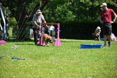 DSC_1267